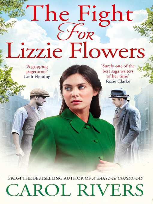 Cover image for The Fight for Lizzie Flowers